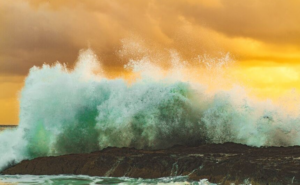 Extreme Responses using NewWave – Forces, Overtopping and Runup in Coastal Engineering