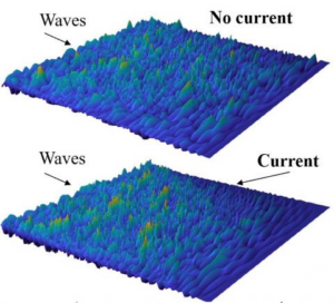 Directional random waves in presence of horizontally shearing current