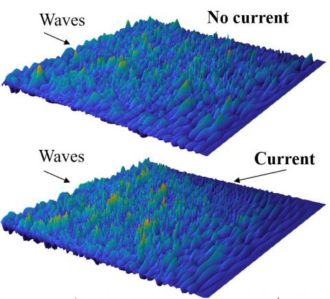 Directional random waves in presence of horizontally shearing current