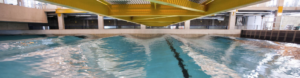 Flexible Responsive Systems in Wave Energy: FlexWave