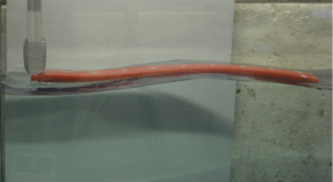 Regular Wave Interaction with Elastic Floating Structures
