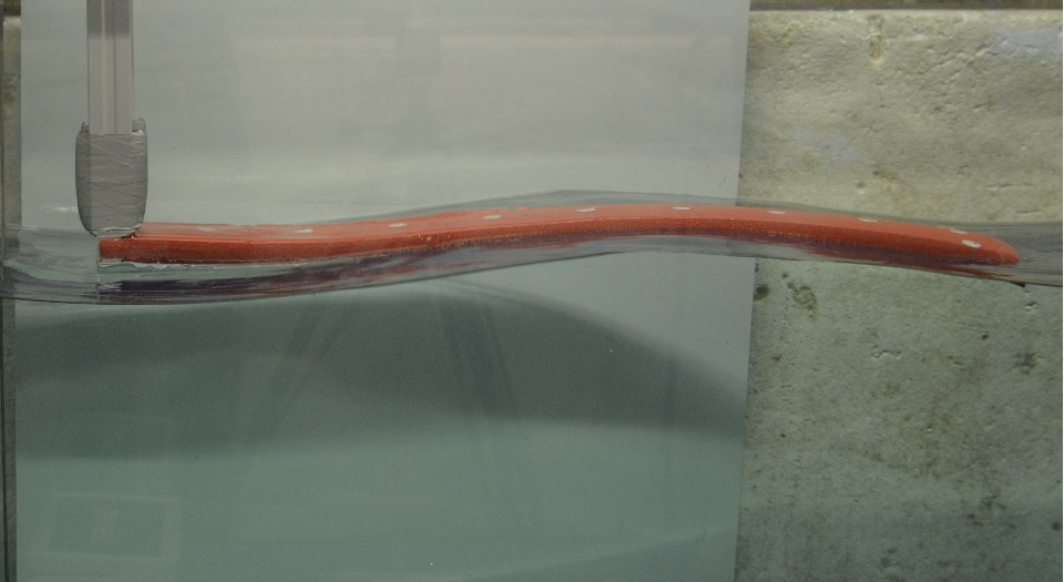 Regular Wave Interaction with Elastic Floating Structures