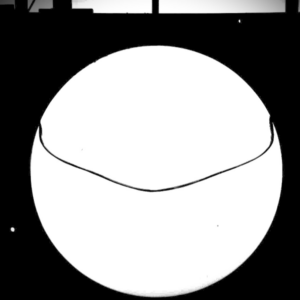 Isothermal sloshing in a circular tank (CCP-WSI Blind Test Series 5)