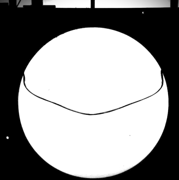 Isothermal sloshing in a circular tank (CCP-WSI Blind Test Series 5)